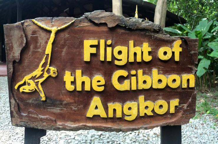 ANGKOR FLIGHT OF GIBBON DAILY TOUR